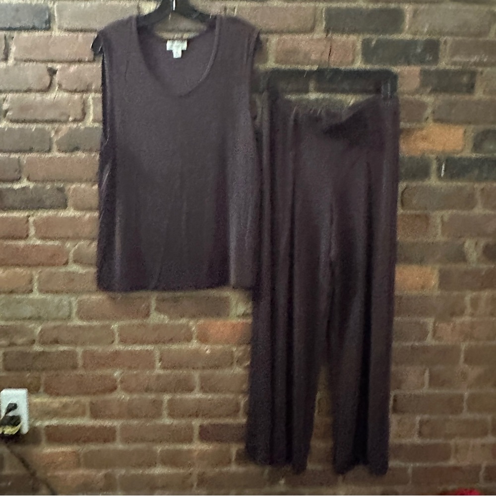 COLDWATER CREEK tank top + wide leg box pleated front pants size set